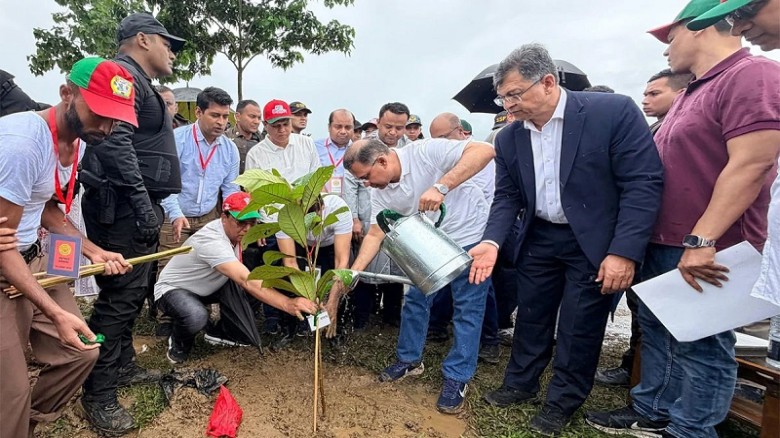দেশব্যাপী ২৫ কোটি বৃক্ষরোপণ কর্মসূচির উদ্বোধন করলেন প্রধানমন্ত্রী